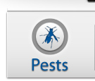 Pest Control